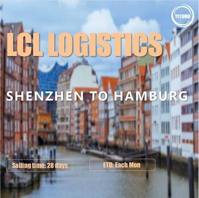 Shenzhen To Hamburg LCL International Shipping Forwarder  CIF DDU Trade Term