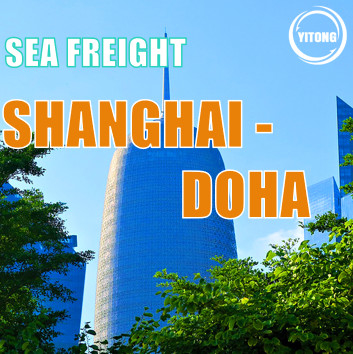 Shanghai to Doha Qatar International Sea Freight Service 25 days