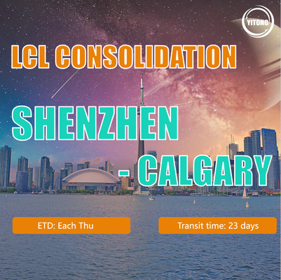 Reliable China Freight LCL Consolidation Service / Shipping Container Price