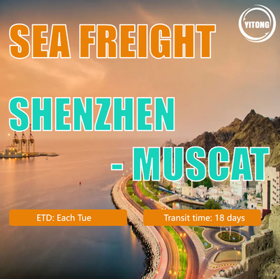 Cheap Sea Freight Forwarder To Muscat Or Muscat Ocean Container Shipping Agent