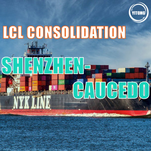 Global  LCL freight shipping Service From Shenzhen to Caucedo Each Tue
