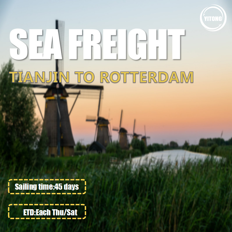 2 Shifts Per Week Worldwide Sea Freight From Tianjin To Rotterdam Netherlands