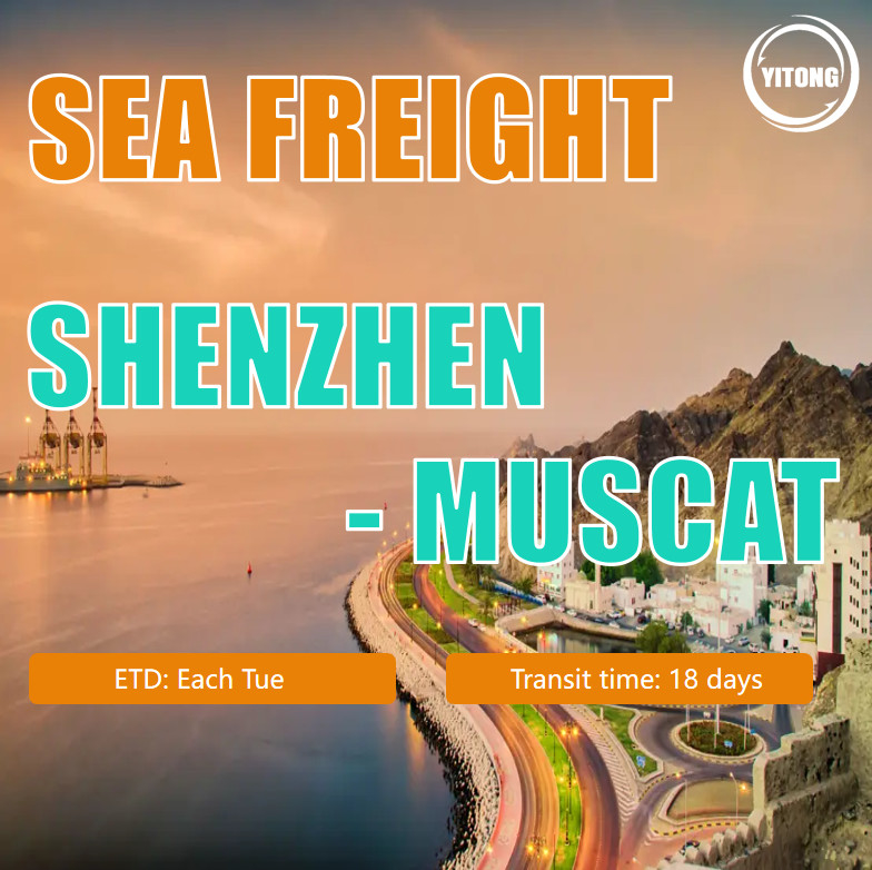 Cheap Sea Freight Forwarder To Muscat Or Muscat Ocean Container Shipping Agent
