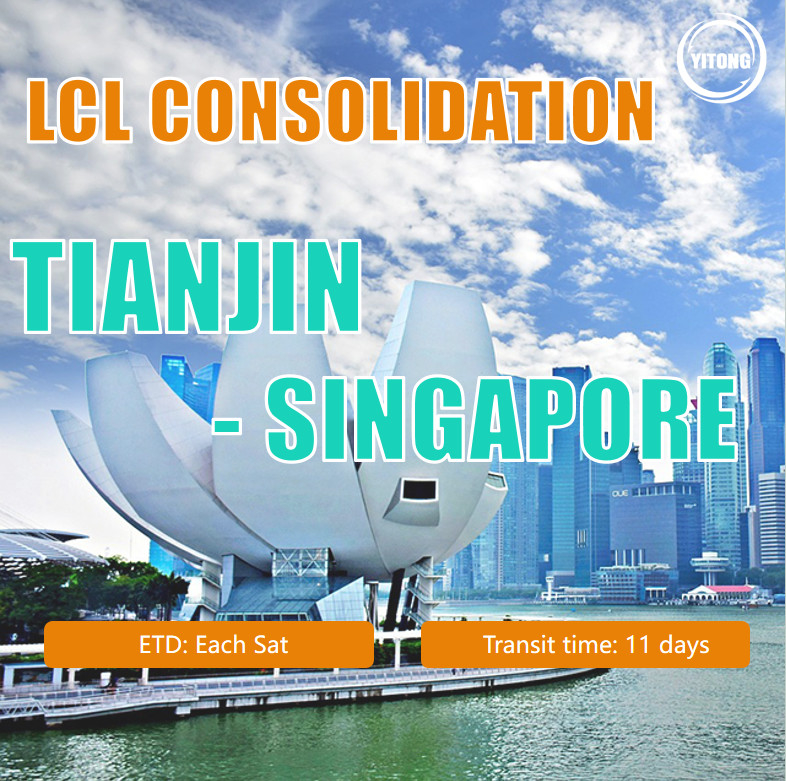 Low Price DDP DDU FCL LCL Door to Doo Sea Shipping Agent From China to Singapore